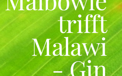 Maibowle trifft Malawi-Gin – Auch dieses Jahr wieder in Kaunitz!